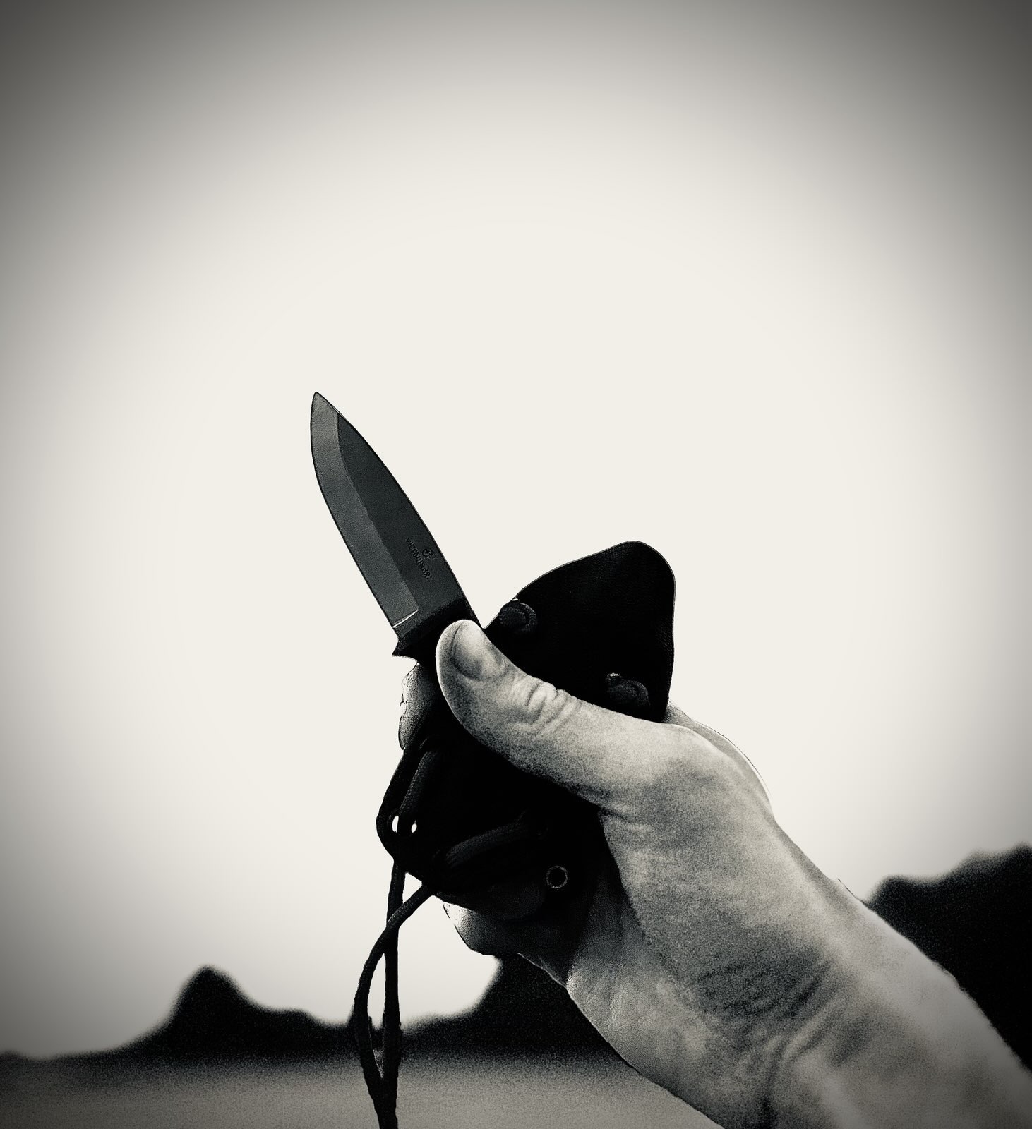 Photo du moment, un skateboard